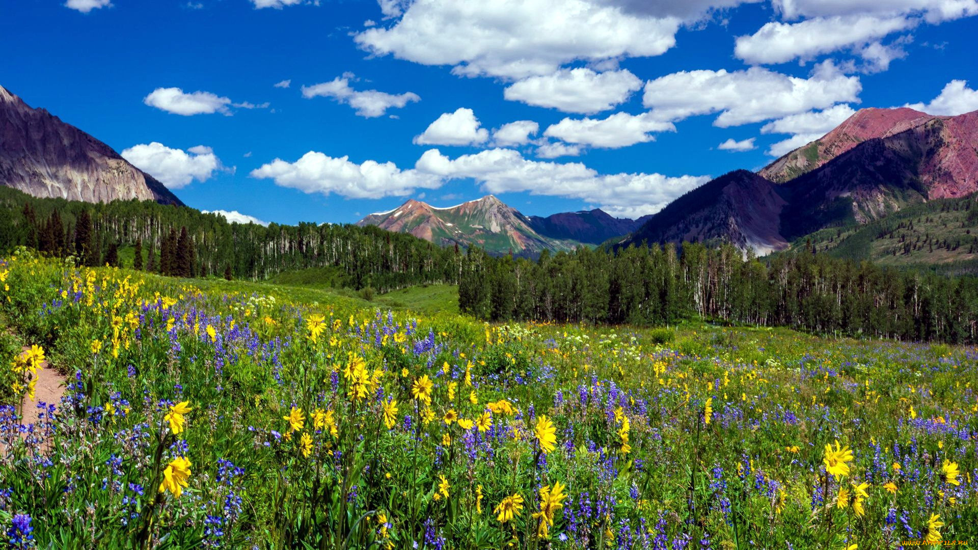 crested butte, colorado, , , crested, butte